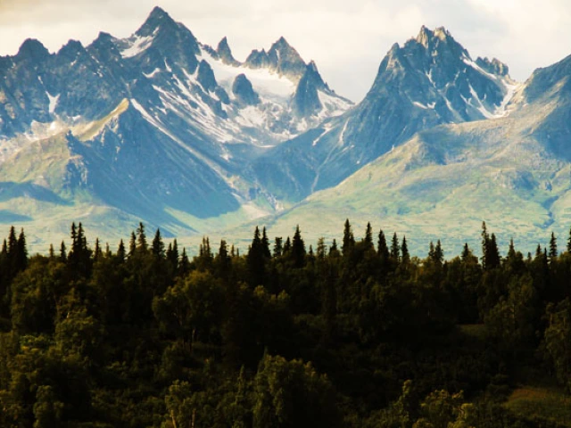 Forest and mountains